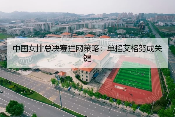 中国女排总决赛拦网策略：单掐艾格努成关键